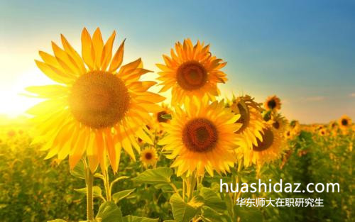 華東師范大學(xué)在職研究生需要參加復(fù)試嗎?