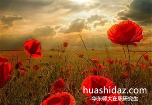 華東師范大學(xué)在職研究生是雙證考試嗎?